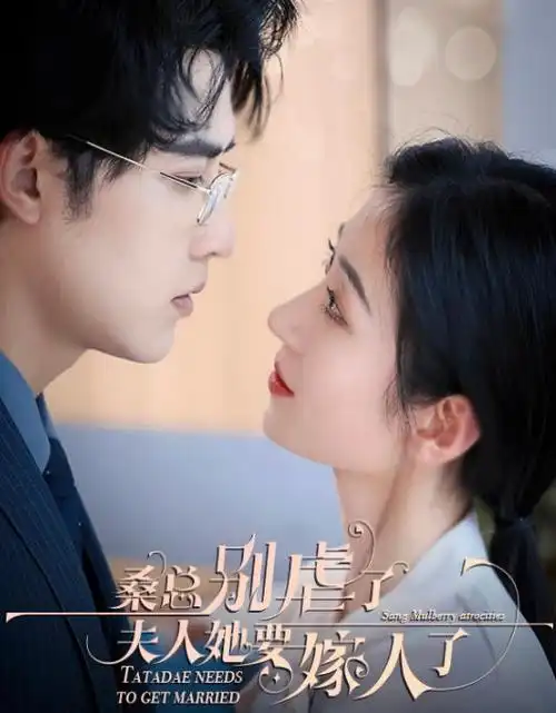 西游记 1986 剧集 手机端免费观看
